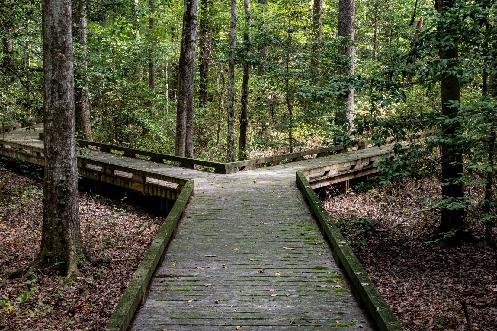 Weighing the Risks - OpenVMS vs. Commodity OS Migration?