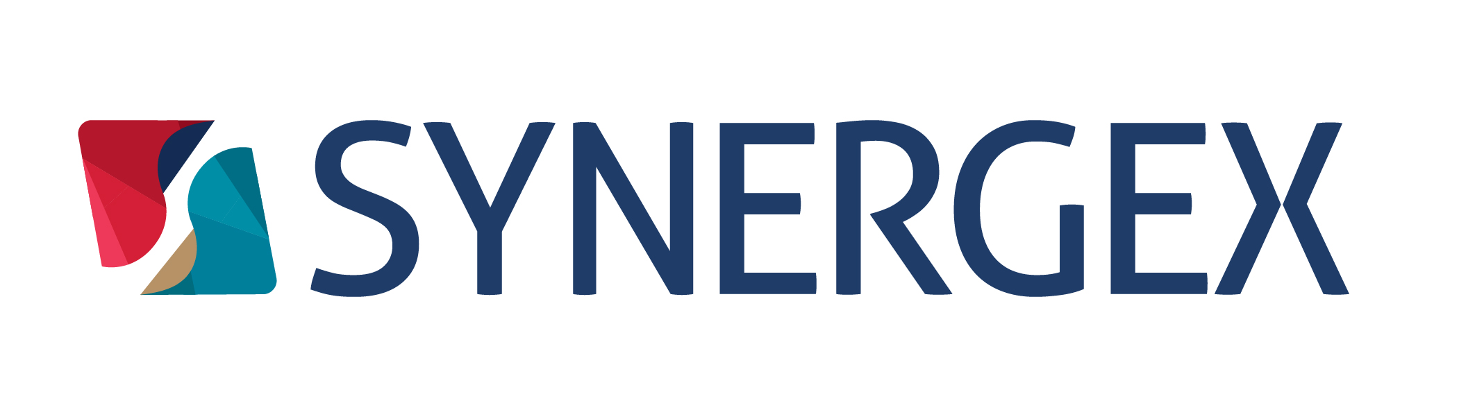 Synergex Logo