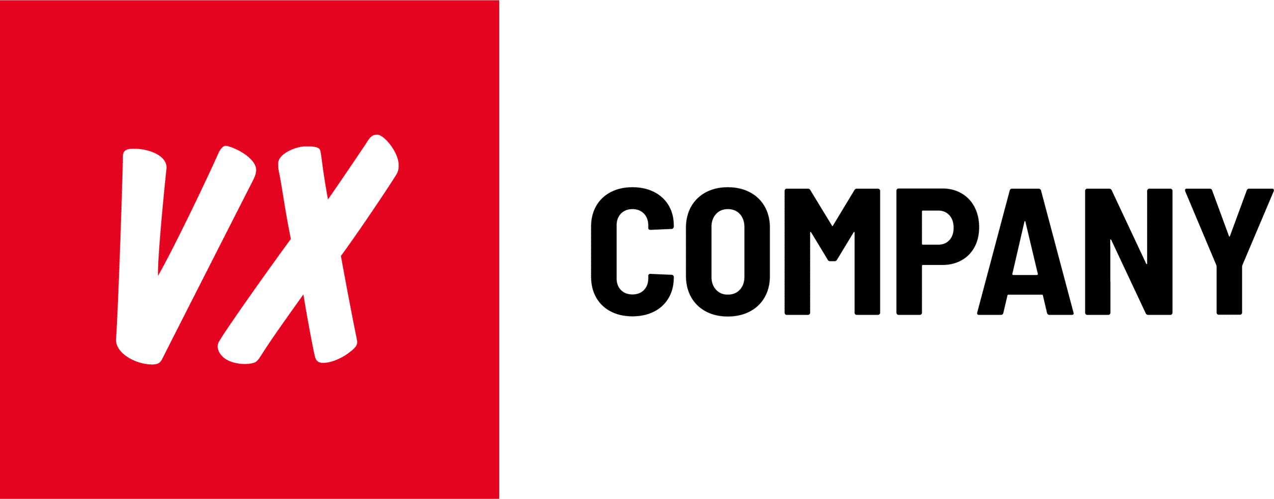 VX Company IT Services Logo